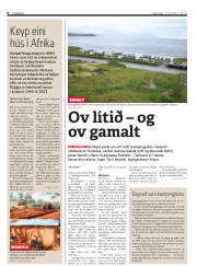 Síða 8