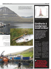 Síða 13