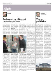 Síða 17