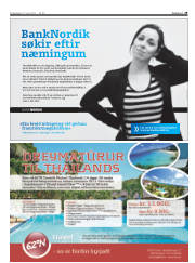 Síða 29