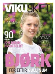 Síða 41