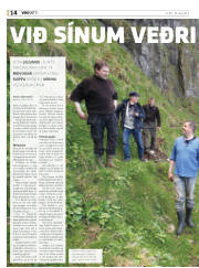 Síða 54