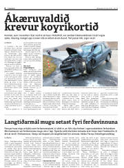 Síða 6