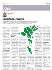 Síða 27