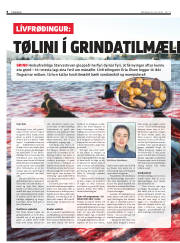Síða 8