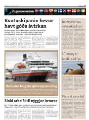 Síða 19