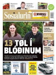 Síða 1