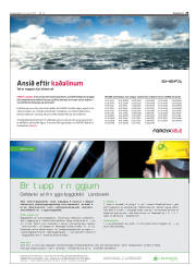 Síða 25