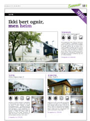 Síða 45