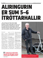 Síða 8