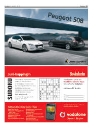Síða 31