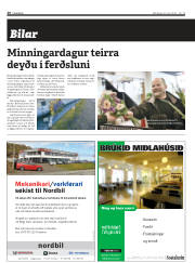 Síða 20