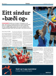Síða 14