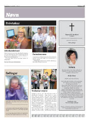 Síða 17