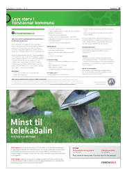 Síða 25