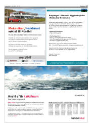Síða 29