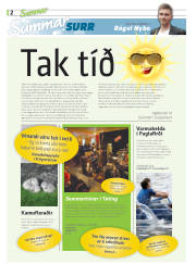 Síða 34