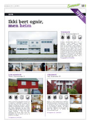 Síða 45