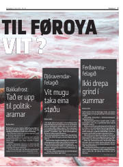 Síða 7