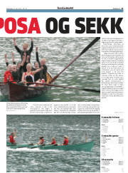 Síða 13