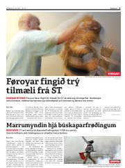 Síða 9