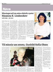 Síða 14