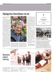 Síða 15