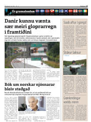 Síða 19