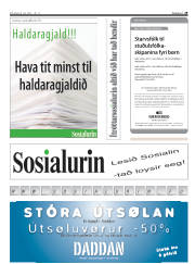 Síða 29