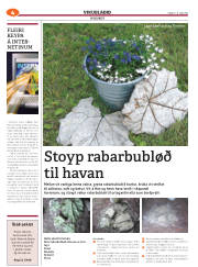 Síða 36