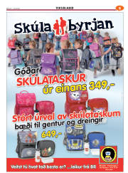 Síða 37