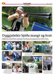 Síða 38