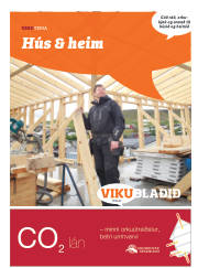 Síða 43