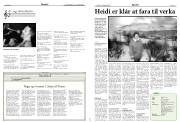 Síða 17