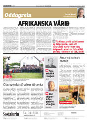 Síða 2