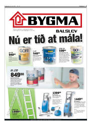 Síða 3