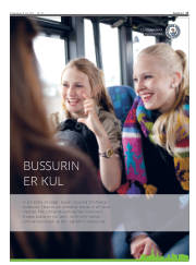 Síða 17
