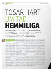 Síða 36