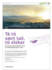 Síða 45