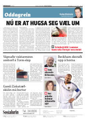 Síða 2
