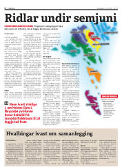 Síða 6