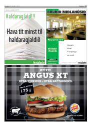 Síða 31