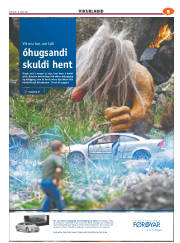 Síða 41