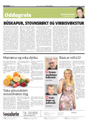 Síða 2