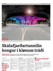 Síða 8