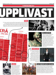 Síða 17