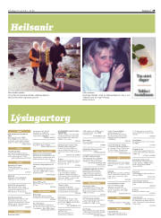 Síða 29
