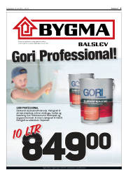 Síða 3