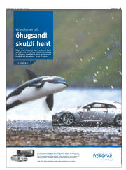 Síða 11