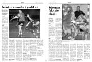 Síða 13